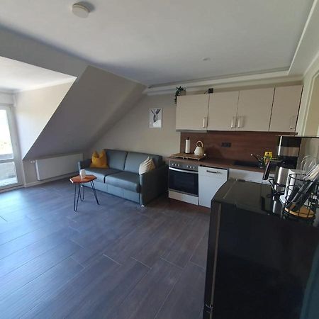 Neumuehler Hof- Ferienwohnung "Benjamin" Mit Grosser Privater Dachterasse Und Guter Anbindung In Die City Schwerin  Zewnętrze zdjęcie