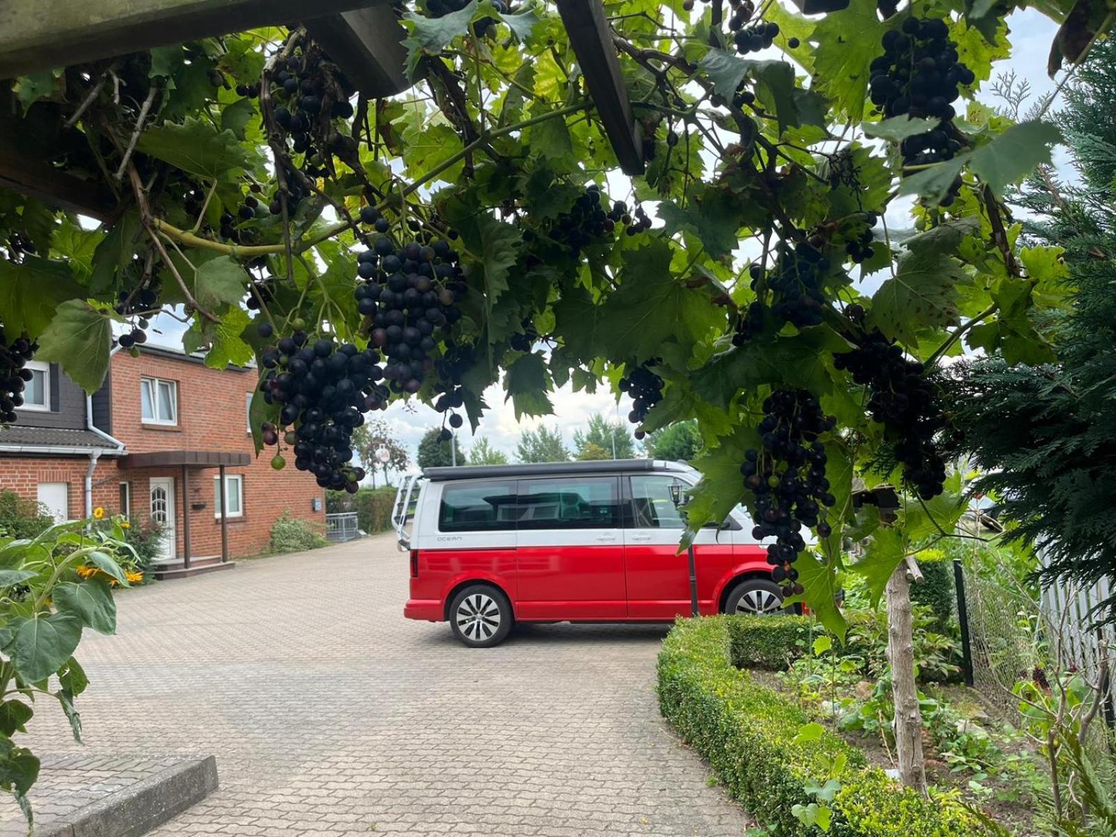 Neumuehler Hof- Ferienwohnung "Benjamin" Mit Grosser Privater Dachterasse Und Guter Anbindung In Die City Schwerin  Zewnętrze zdjęcie